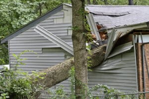 A large oak tree falls on a small house during a summer storm, caving in the roof and room under it.