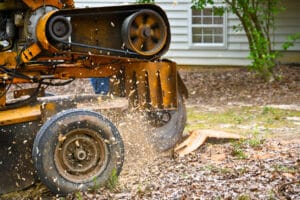 A Stump Grinding Machine Removing a Stump from Cut Down Tree