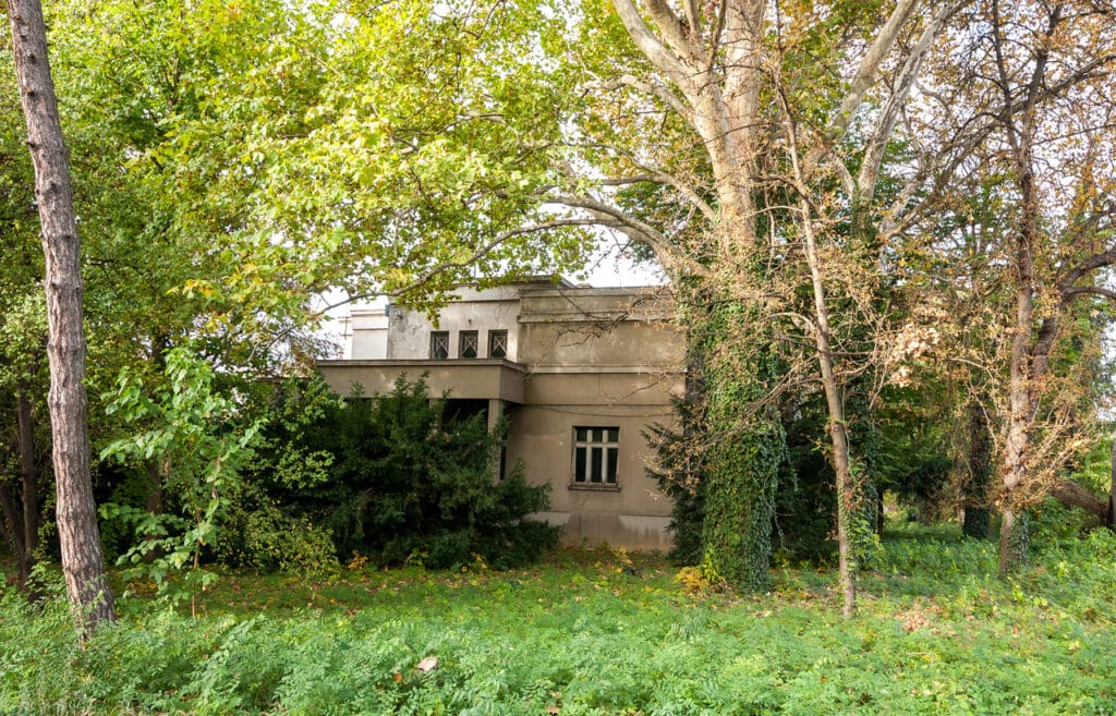 Old abandoned villa house in the jungle overgrown with trees and plants after war